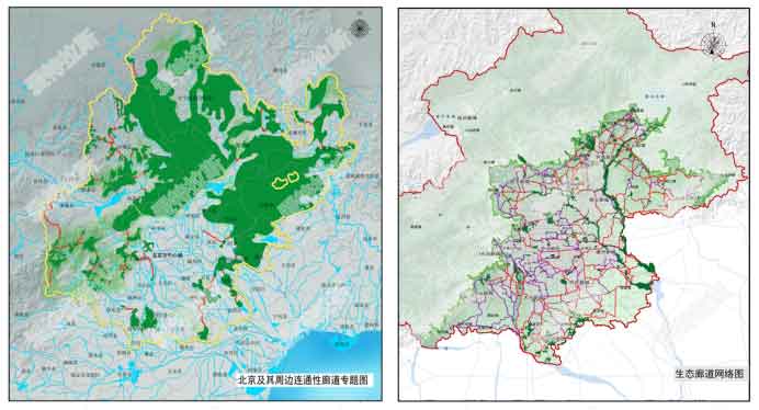 基于生物多样性区域景观连通性网络及生态廊道构建规划